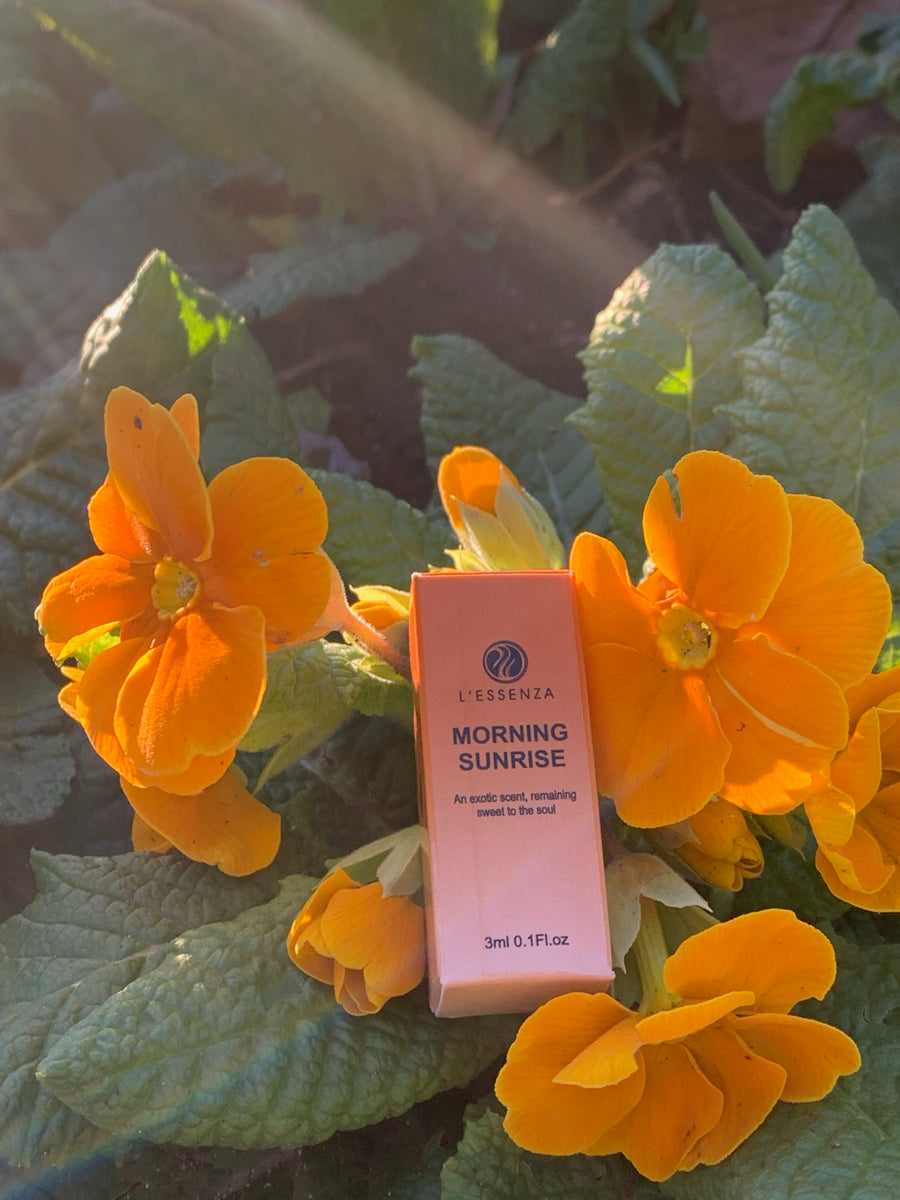 sunrise おまとめ2点 ADORE MORABITO Playlist] 30mins - E1 #Sunrise by the river - YouTube